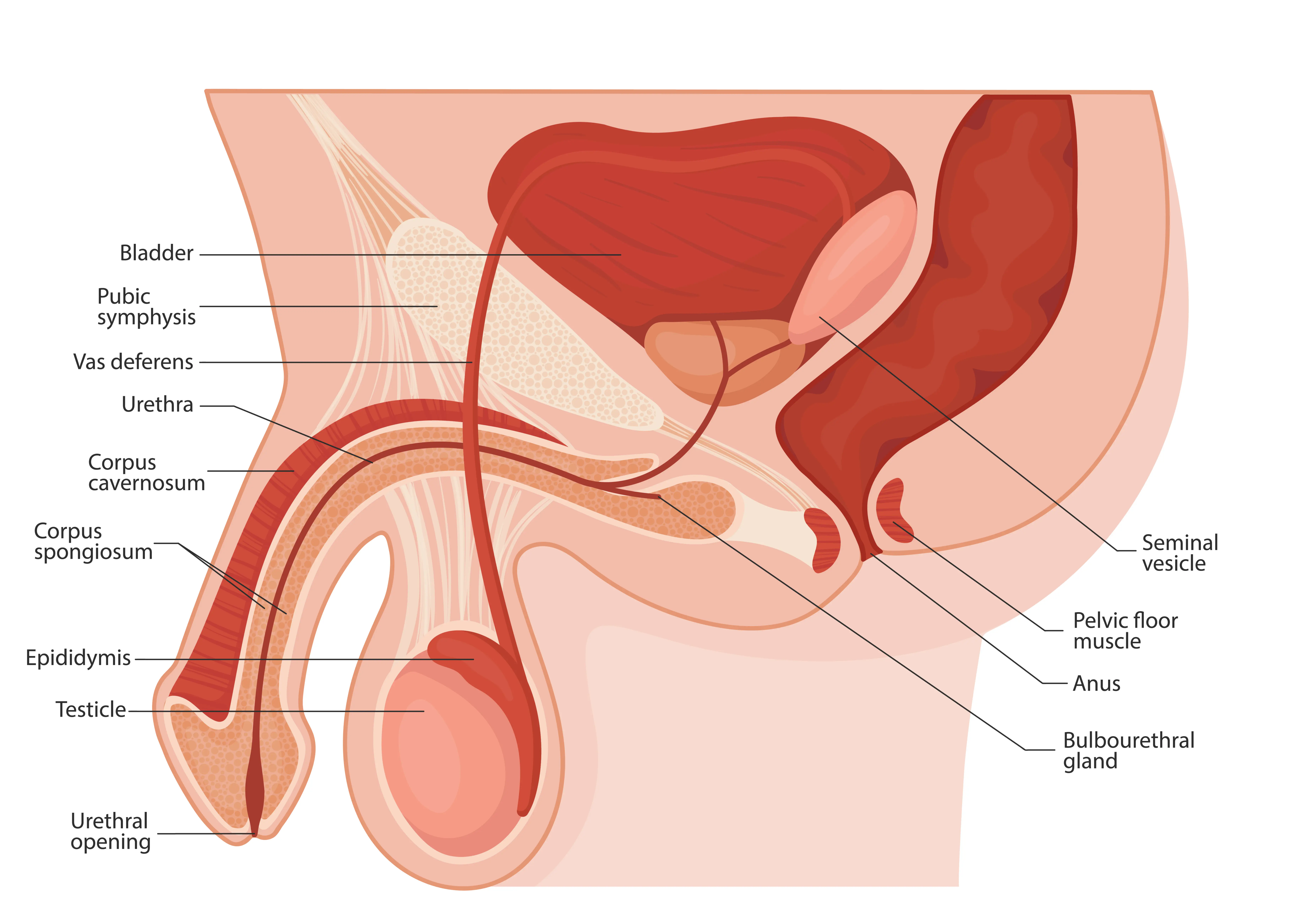 know_your_body_1